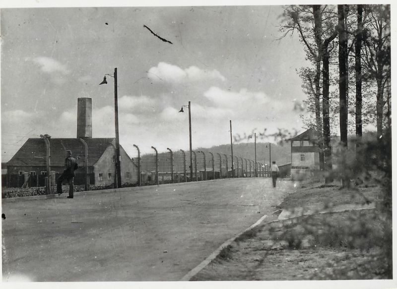 Buchenwald 15